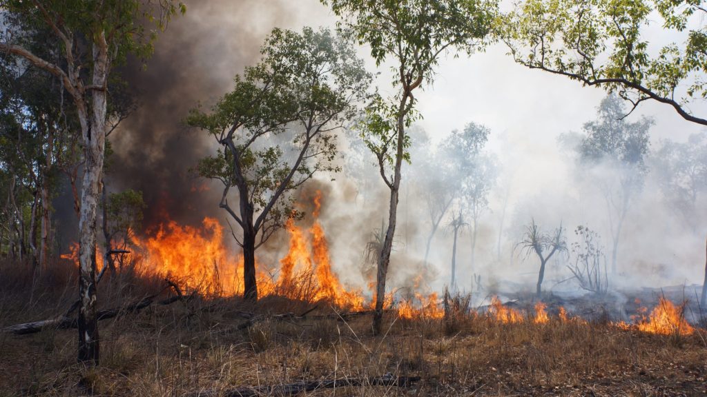 incendio