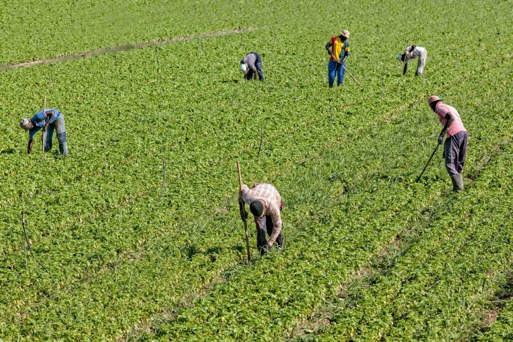 lavoro nero