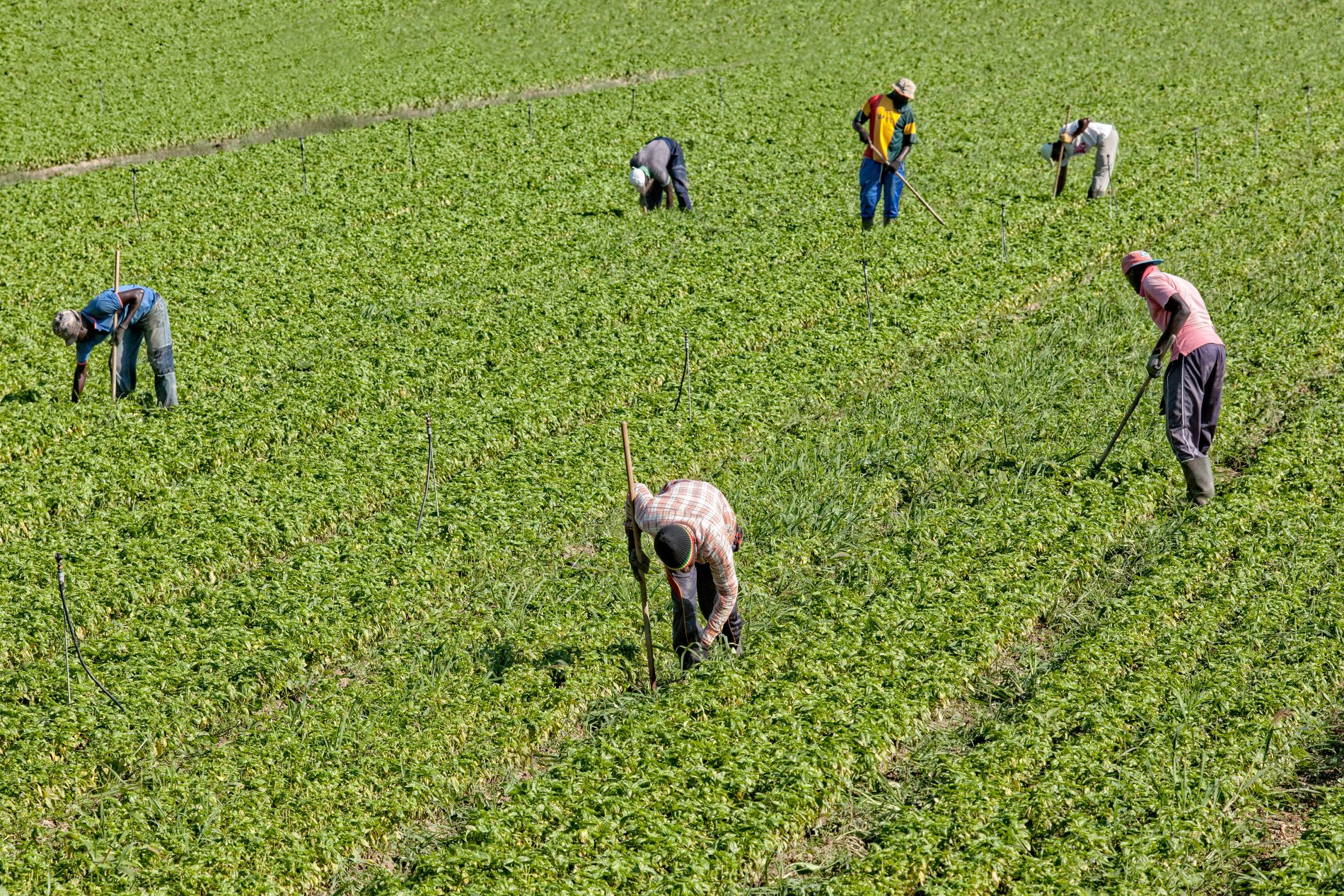 lavoro nero